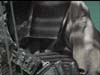 bssh_chestplate_btmwdth