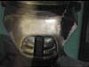 bssh_teeth_width02