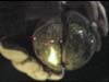 bssh_thrmldetonator02