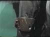 fett_knee_wdth01