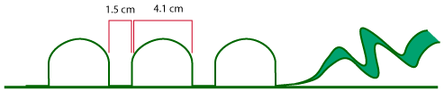 diagram showing measurements and placement of the loops on the bandolier