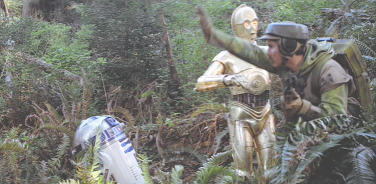 endor rebel soldier