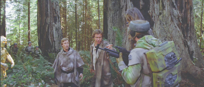 endor rebel soldier