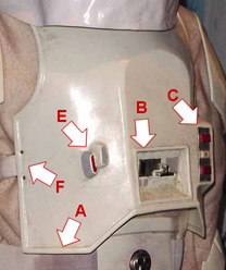 Image diagraming the details mentioned above on the right side of the chest armor