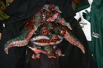 IMG_1124